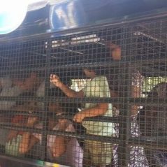 Pakistani Christian asylum seekers brought to court caged in police van in Dec. 2015